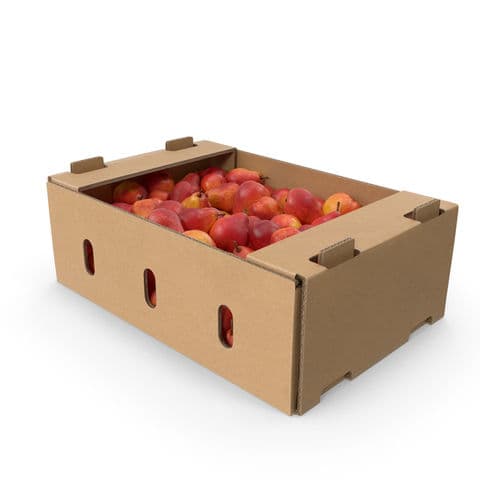 Fruit and Vegetable Boxes manufactured at Bhaavya Ecopack, Kosamba Surat